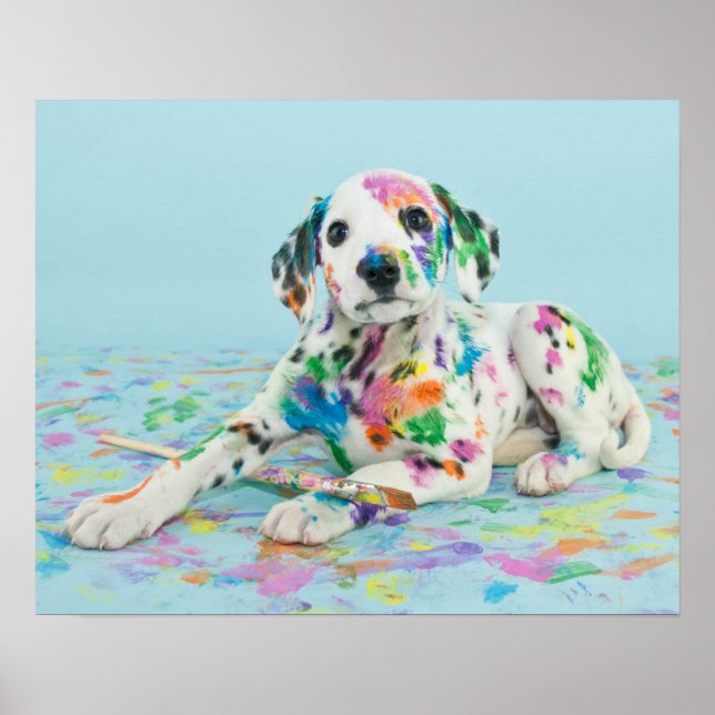 Poster Dalmatian Puppy (Devant)