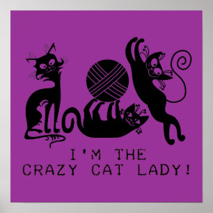 Poster Dame du Crazy Cat
