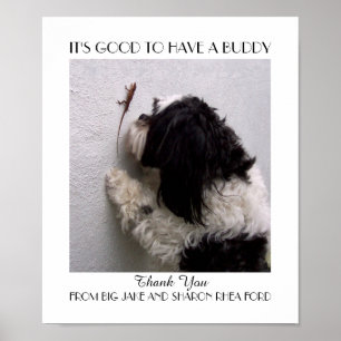 Poster d'amitié Buddy avec mon chien