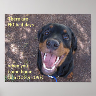 Poster d'amour du chien Rottweiler