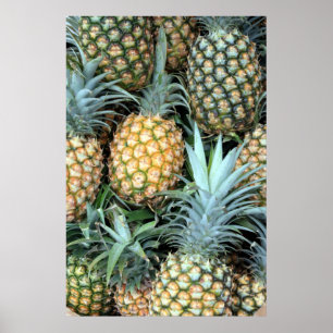 Poster d'ananas hawaïen