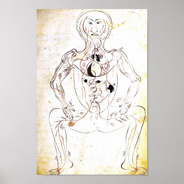 Poster d'anatomie persane vintage du XIIIe siècle (Devant)