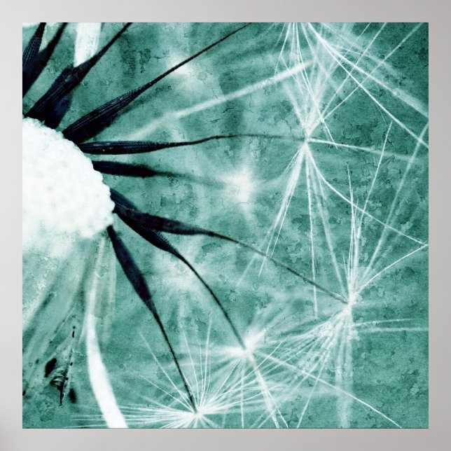 Poster Dandelion Art - Pusteblume Kunst 2012 008 (Devant)