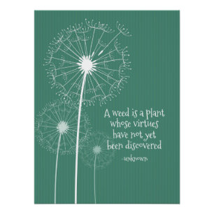 Poster Dandelion Design