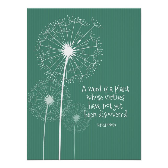 Poster Dandelion Design (Devant)