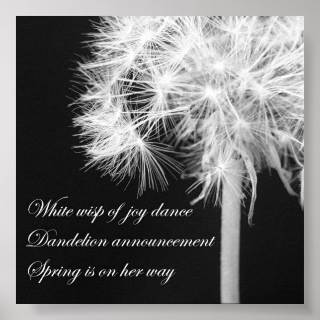 Poster Dandelion Haiku (Devant)