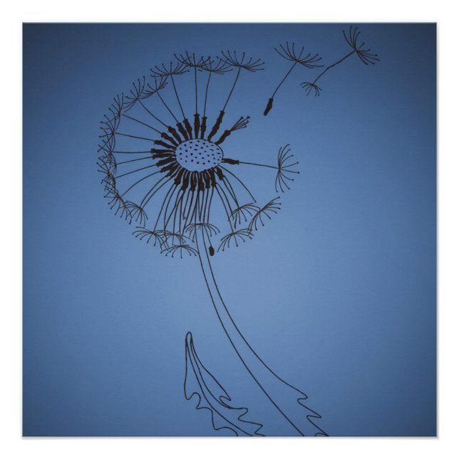 Poster dandelion minimalistic flo (Devant)