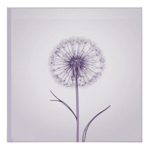 Poster Dandelion pourpre
