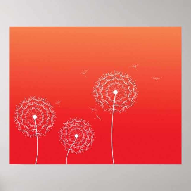Poster Dandelion rouge coucher de soleil au printemps (Devant)