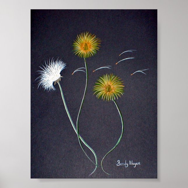 Poster Dandelions Imprimer Grand (Devant)