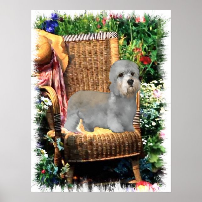 Poster Dandie Dinmont Terrier Imprimer (Devant)