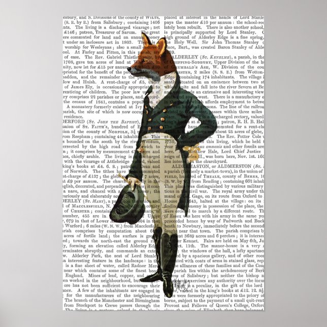 Poster Dandy Fox Full (Devant)