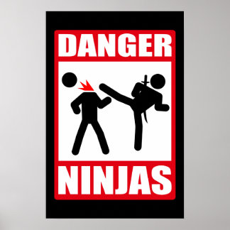 Poster Danger Ninjas