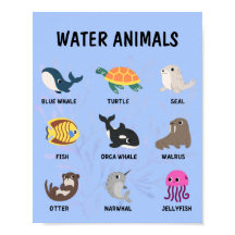 Poster d'animaux aquatiques
