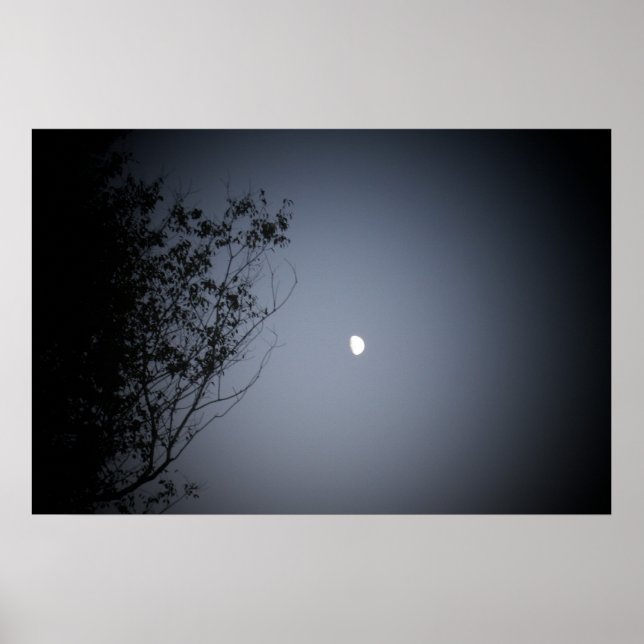 Poster Dans la nuit (Devant)