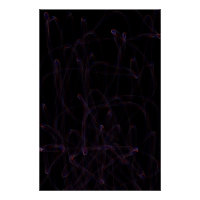 Danse des Dimensions