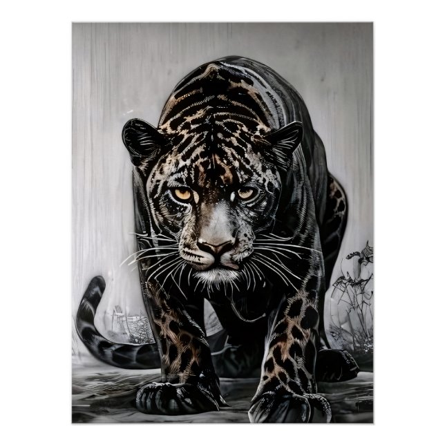 Poster Danse du prédateur (Devant)