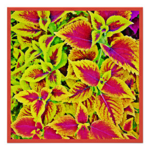 Poster Danse Motif Feuille