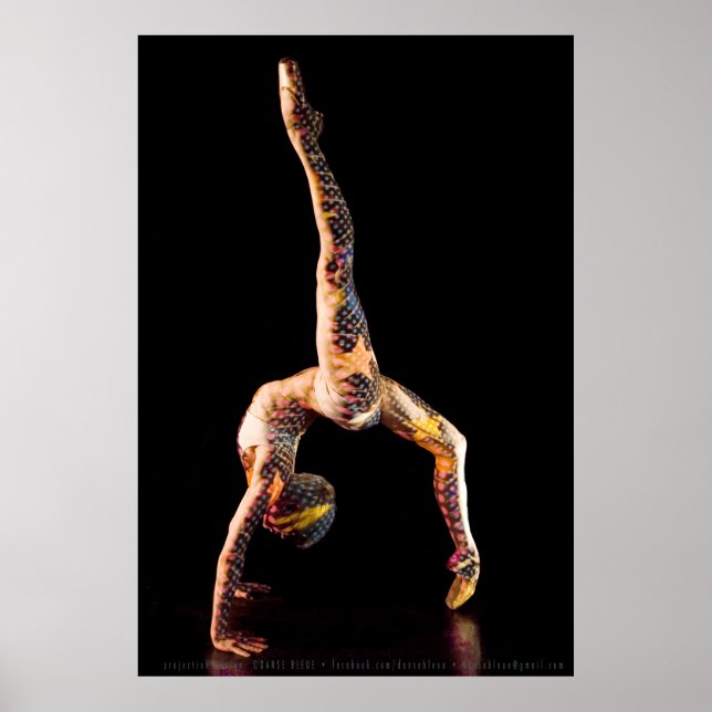 Poster Danseur de ballet-4567XLG (Devant)