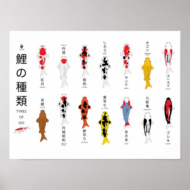 Poster d'antiquité en carpe, peint à la main (Devant)