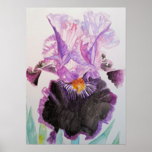 Poster d'aquarelle en fleurs florales d'Iris viole