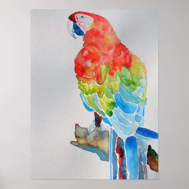 Poster d'aquarelle rouge jaune bleu Macaw Parrot (Devant)