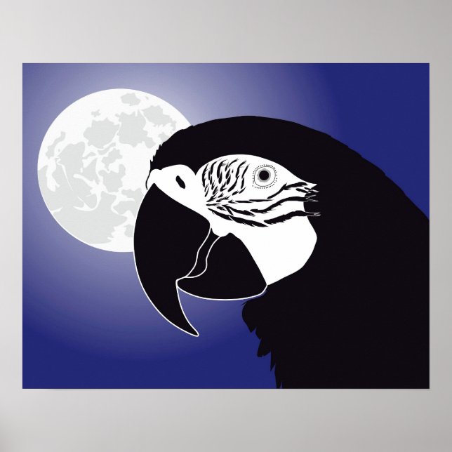 Poster d'Ara (Devant)