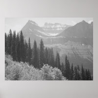 Poster d'Arbres et Montagnes Noirs & Blancs