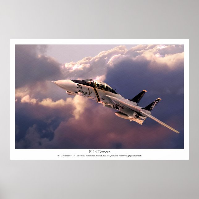 Poster d'art aéronautique "F-14 Tomcat" (Devant)