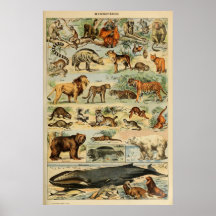 Poster d'art animal vintage
