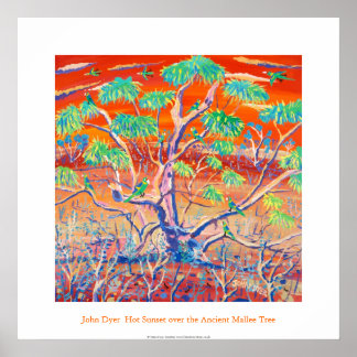 Poster d'art : Banrock Station Sunset Mallee Tree