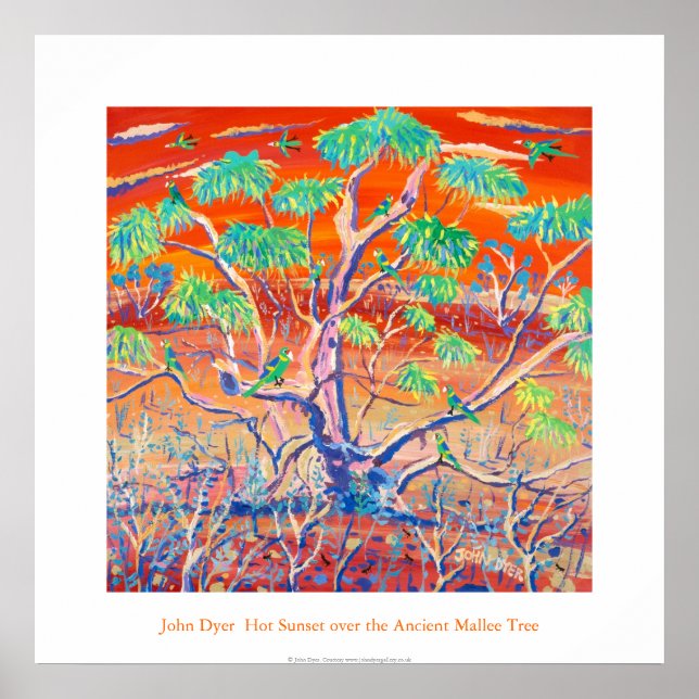 Poster d'art : Banrock Station Sunset Mallee Tree (Devant)