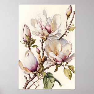 Poster d'art blanc Magnolia Fleurs