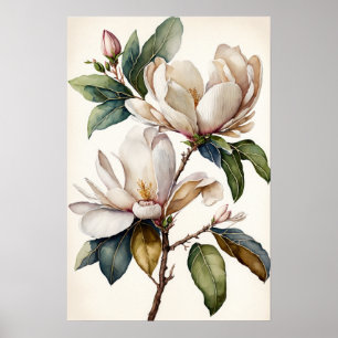 Poster d'art blanc Magnolia Fleurs