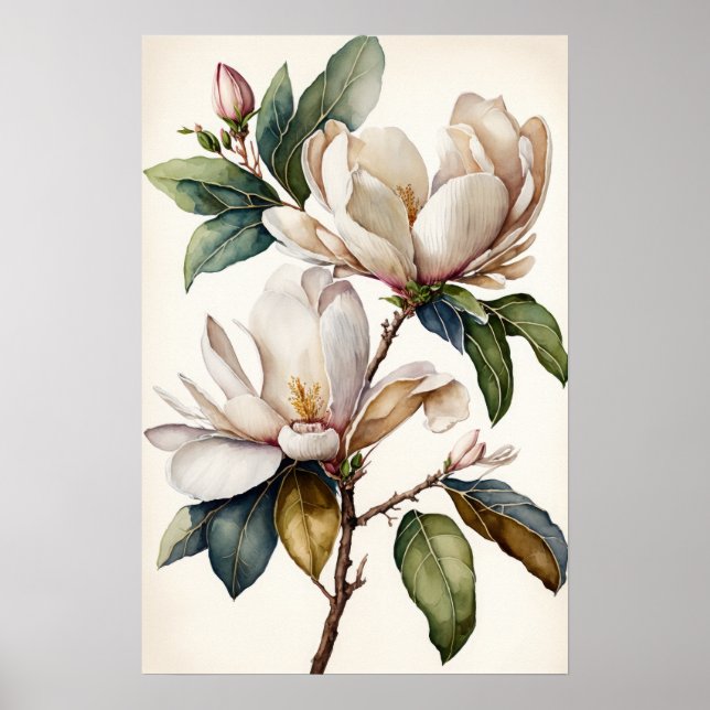 Poster d'art blanc Magnolia Fleurs (Devant)