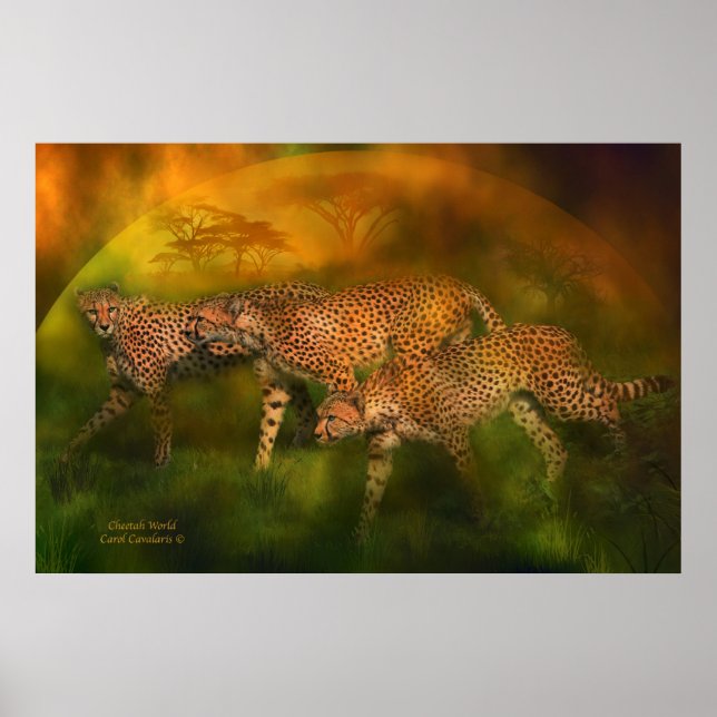 Poster d'art Cheetah World / Imprimer (Devant)