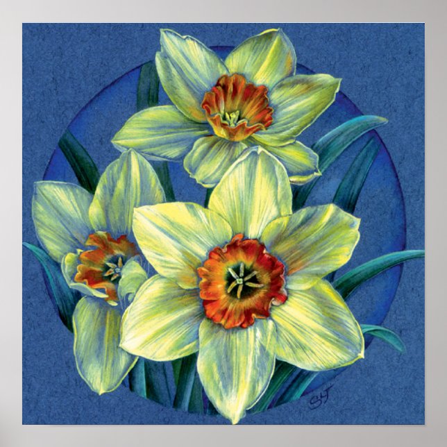 Poster d'art "Daffodils - les joies du printemps" (Devant)