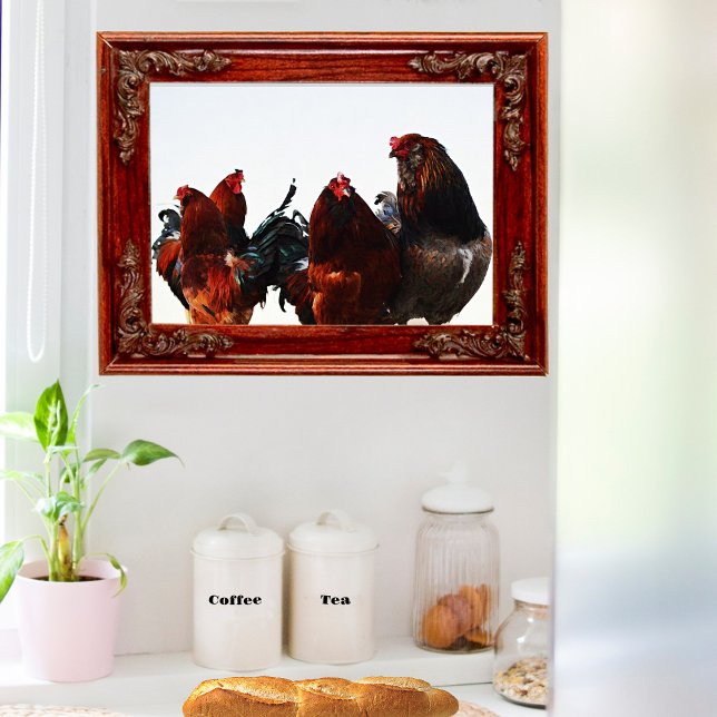 Poster d'art de la coq de poulet de Gang (Créateur téléchargé)