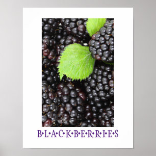 Poster d'art de la cuisine Blackberries