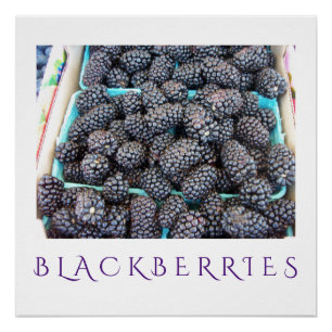 Poster d'art de la cuisine Blackberries pour décor