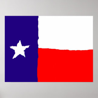 Poster d'Art de la Pop du Texas - American States