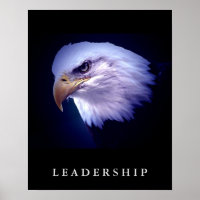 Poster d'art de la tête d'aigle chauve