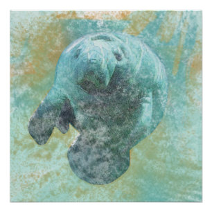 Poster d'art de la vache marine Manatee