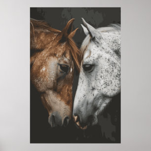 Poster d'art de l'Amis du Cheval