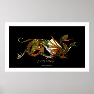 Poster d'art de l'Imaginaire du dragon asiatique m