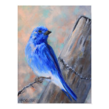 Poster d'art de Mountain Bluebird