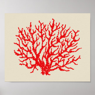 Poster d'art de mur de Coral Rouge Décor