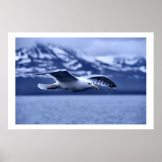 Poster d'art de Seagull in Flight Wildlife