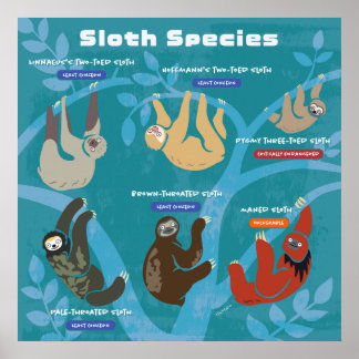 Poster d'art de Sloth Espèces
