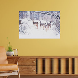 Poster d'art de Snow Deer au Texas